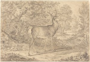  door Johann Elias Ridinger