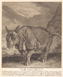 Neushoorn door Johann Elias Ridinger