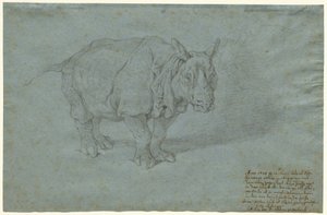 De neushoorn Miss Clara