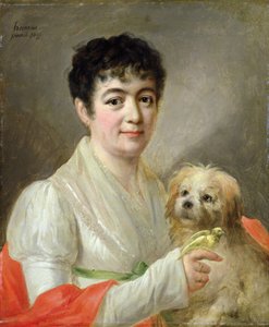 Portret van een Onbekende Vrouw, 1809 door Johann Ernst Heinsius