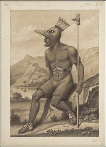 Een verzameling van Waldeck