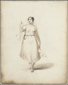 Een Collectie van Waldeck