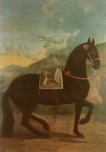 Een Zwart Paard met een Spaanse Zadel