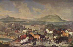 De Keizerlijke Stoeterij met Lipizzaner Paarden
