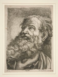 Mannelijk hoofd (van een apostel?) door Johann Georg Hertel