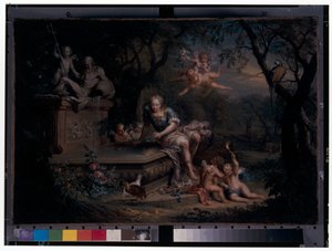 Narcissus weerspiegeld in een put