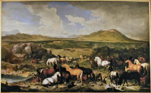 Johann Georg de Hamilton / Lippizaner