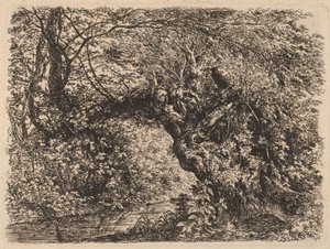 Een oude wilg bij een stroom, 1793 door Johann Georg von Dillis
