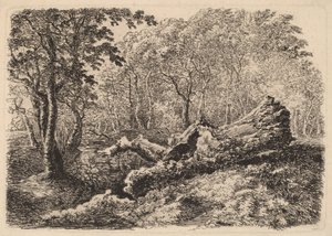 Vergaande Boomstam, 1794 door Johann Georg von Dillis