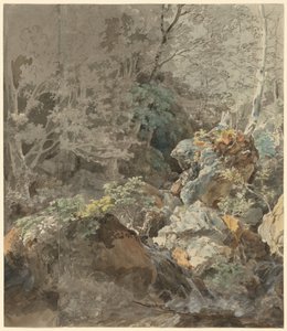 Watervallen in een bergbos door Johann Georg von Dillis
