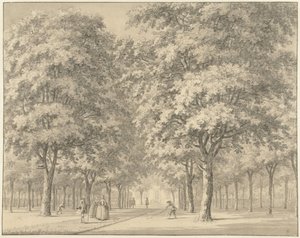 De oprijlaan van een buiten (Velserbeek?)