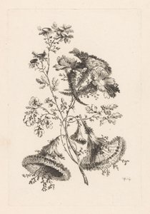 Driehoekige bloemen