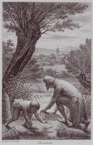 BernhardJHLipsi door Johann Heinrich Lips