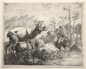 Geiten