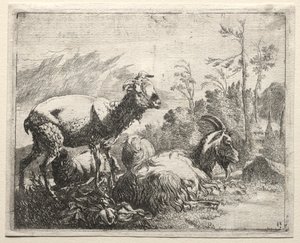 Geiten, 1665