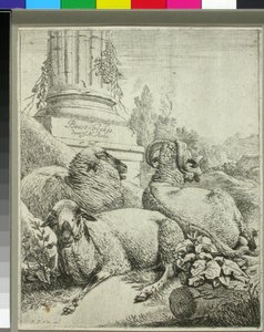  door Johann Heinrich Roos