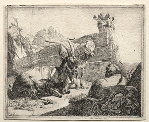 De Haag, 1665