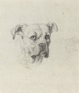 Een Bokser door Johann Heinrich Wilhelm Tischbein