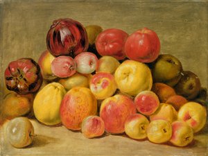 Stukken fruit