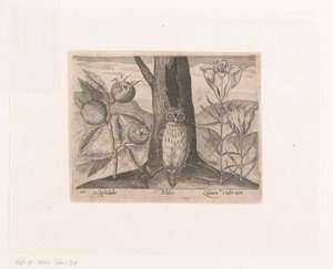 Serie prenten met bloemen en dieren in een landschap door Johann Hogenberg