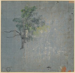 Boomstudies (verso) door Johann Jacob Dorner