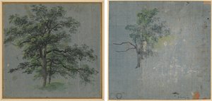 Twee bomen (recto) Boomstudies (verso)