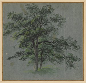 Twee bomen, eerste helft 1800 door Johann Jacob Dorner