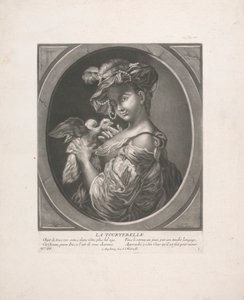 De tortelduif door Johann Jacobus Haid