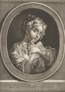 De geliefde duif