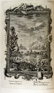 Kopergravure uit 