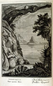 Kopergravure uit 