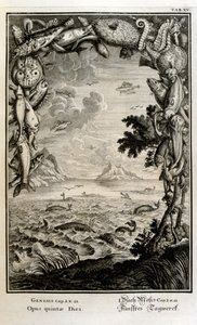 Kopergravure uit 