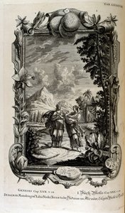 Mandragora plant. Het is vaak bekend als alruin