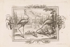 Twee flamingo
