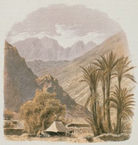 Sinaï. Ets door Bernatz et alii - Steinkopk J.F. Editore