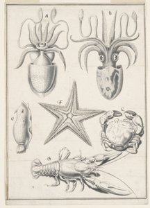 Vijfde dag werk door Johann Melchior Füssli