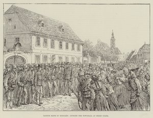 Arbeidersrellen in Hongarije, buiten het stadhuis in Bekes Csaba door Johann Nepomuk Schonberg