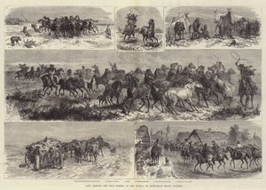 Leven tussen de wilde paarden van de Puszta, of Hongaarse heide
