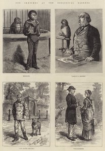 Vreemde schetsen in de dierentuin door Johann Nepomuk Schonberg