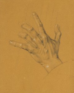 Handstudie voor 