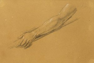 Handstudie (detail)