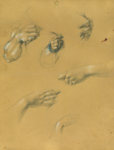 Handstudies