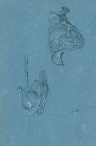 Helmstudies door Johann Peter Krafft