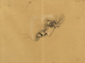 Hoofdstudie