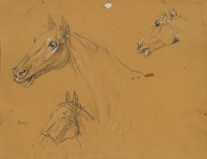 Paardenstudie voor 