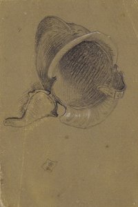 Studie van een helm