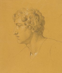 Studie van een hoofd