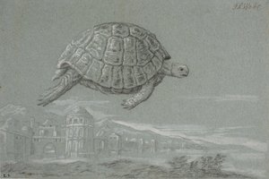 Studie van een schildpad, en uitzicht op een versterkte stad aan zee (Venetië) door Johann Salomon Wahl
