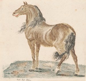 Het Hinniken van het Paard, 1690s door Johann Teyler
