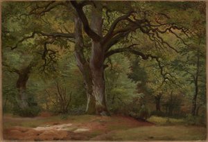 Eikenbos in de Solling door Johann Wilhelm Schirmer